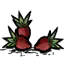 彤彤种子
