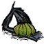 洞穴香蕉杆