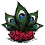 孔雀帽