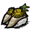 浮夸狮子鱼握寿司