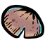 平菇种子