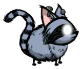 升级小浣猫