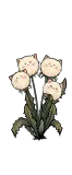 蒲公英猫猫