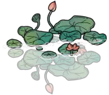 雨岜清荷