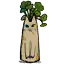 白猫盆栽