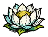 圣母白莲花