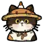 雨帽猫