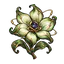 星跃·不凋星蕊