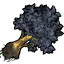 水晶花根