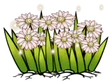攻略之花
