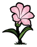 粉色龙胆花