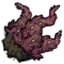 斑点灌木