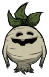 曼德拉人