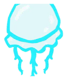 海洋水母