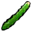黄瓜