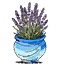 紫色大簇花