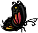 蝴蝶
