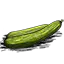 黄瓜 黄瓜