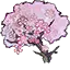 樱花巨树