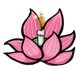 荷灯