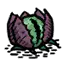 菇茑