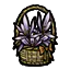 藤编花篮秋水仙