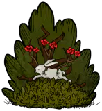 血蔓花丛