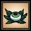 眼球草