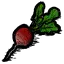 甜菜根
