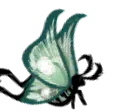月蛾
