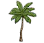 椰树