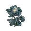 火焰兰