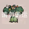 柳婆婆