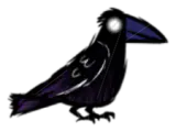 裔鸟笔记