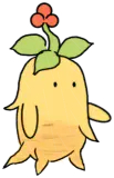 人参萝