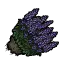 薰衣草灌木