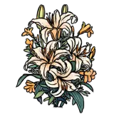 花丛 皮肤 8