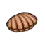 贝壳