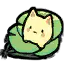 睡莲猫猫植株 睡莲猫猫植株