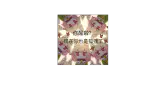 小狐狸挂画一