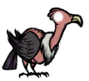 秃鹫