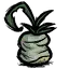 块茎树 块茎