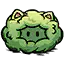 猫猫草墩
