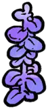 薰衣草2
