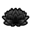 黑莲花