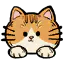 橘猫头