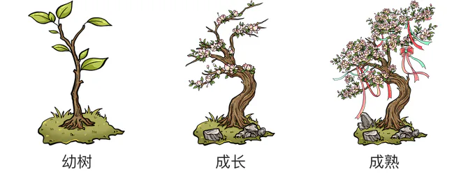 桃树生长阶段 桃树生长阶段