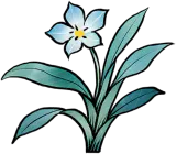月影幽兰植株