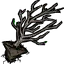 树苗