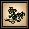 枯萎的花